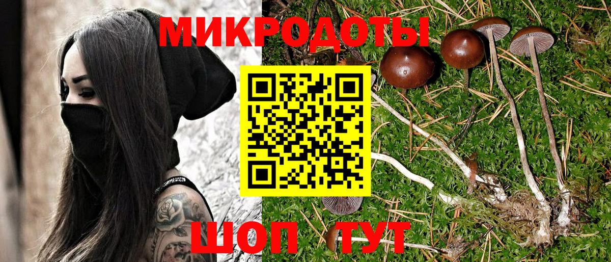 Псилоцибиновые грибы GOLDEN TEACHER  Вход с VPN  дарнет шоп  Янаул 